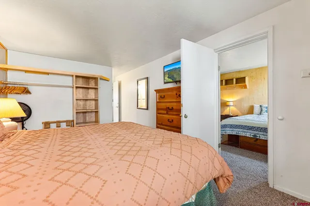 a bedroom with a bed and a closet