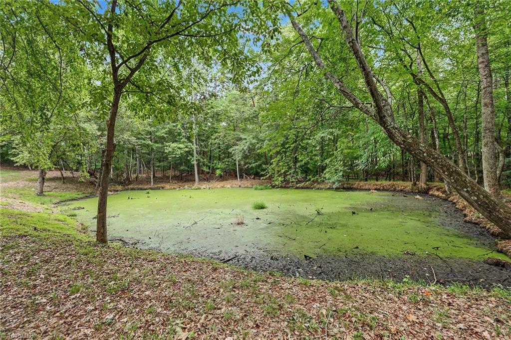 3318 Oak Ridge Road Summerfield, NC 27358 - Photo 44 of 50