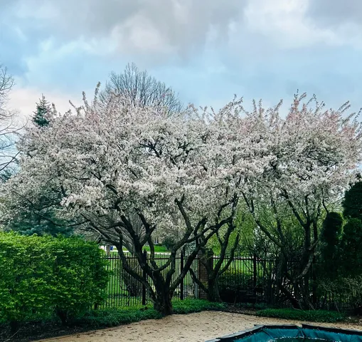 $1,375,000 | 2266 Pebble Creek Drive, Lisle, IL 60532