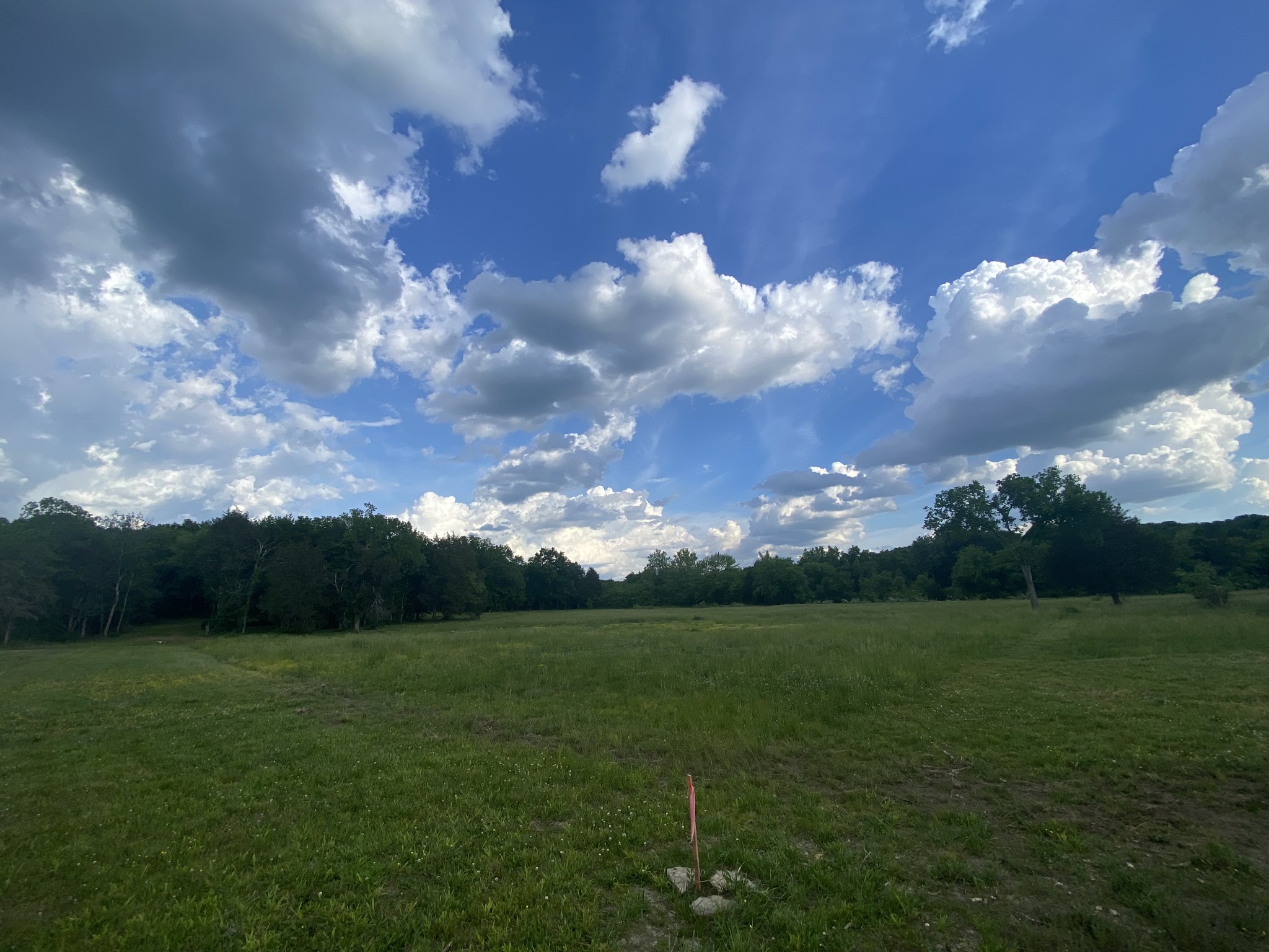 12078 Patterson Road Rockvale, TN 37153 - Photo 4 of 9 Gallery Image 4