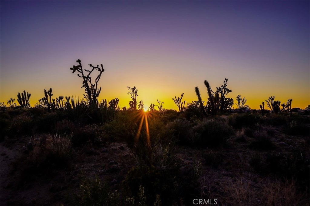 0 Street Nipton Ca Nipton, CA 92364 - Photo 2 of 7 a view of a sky
