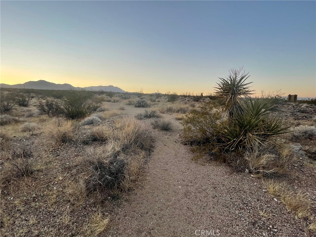 0 Street Nipton Ca Nipton, CA 92364 - Photo 3 of 7 a view of a dry field