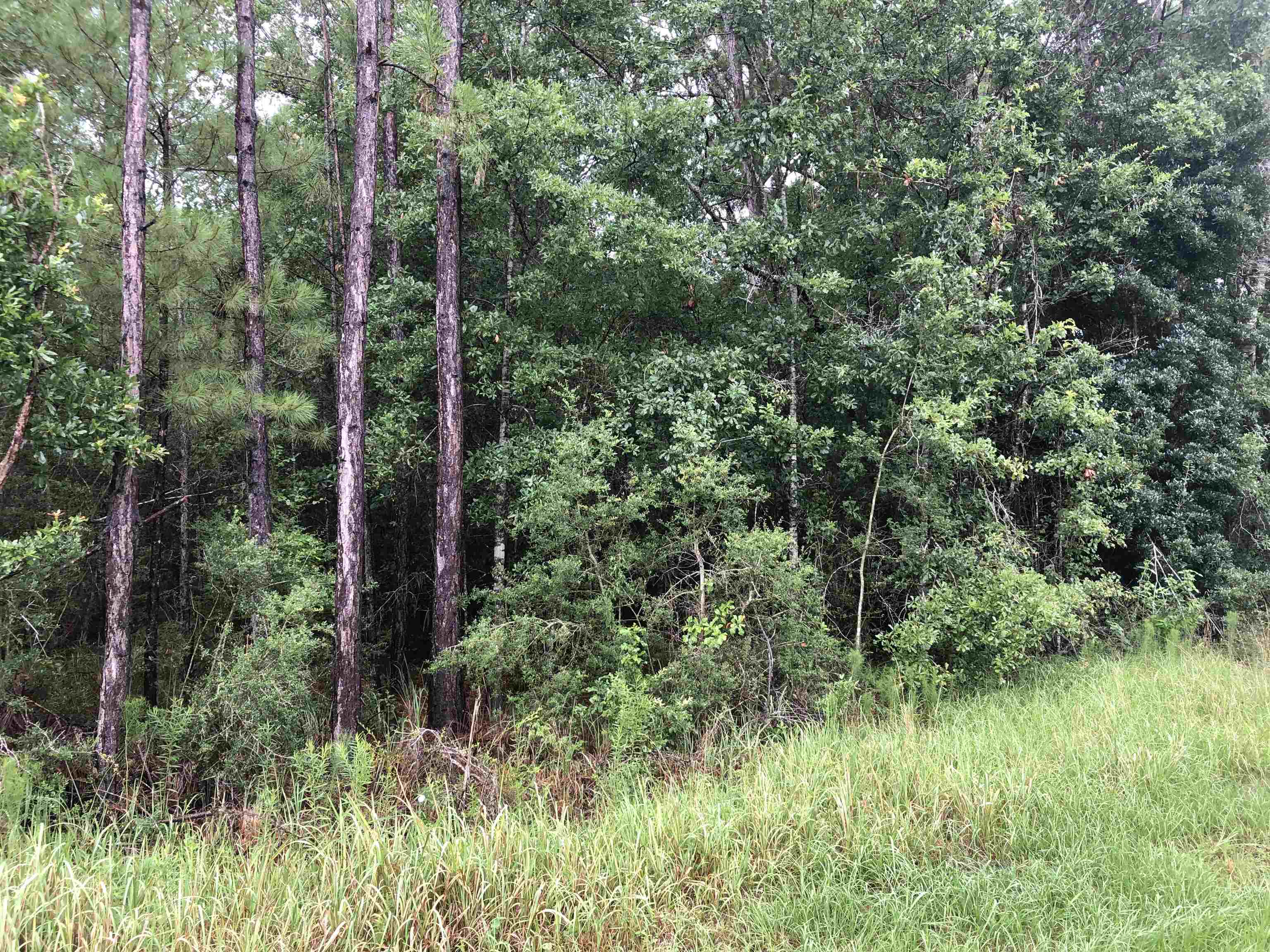 0 Wilson Road Elberta, AL 36530 - Photo 2 of 2