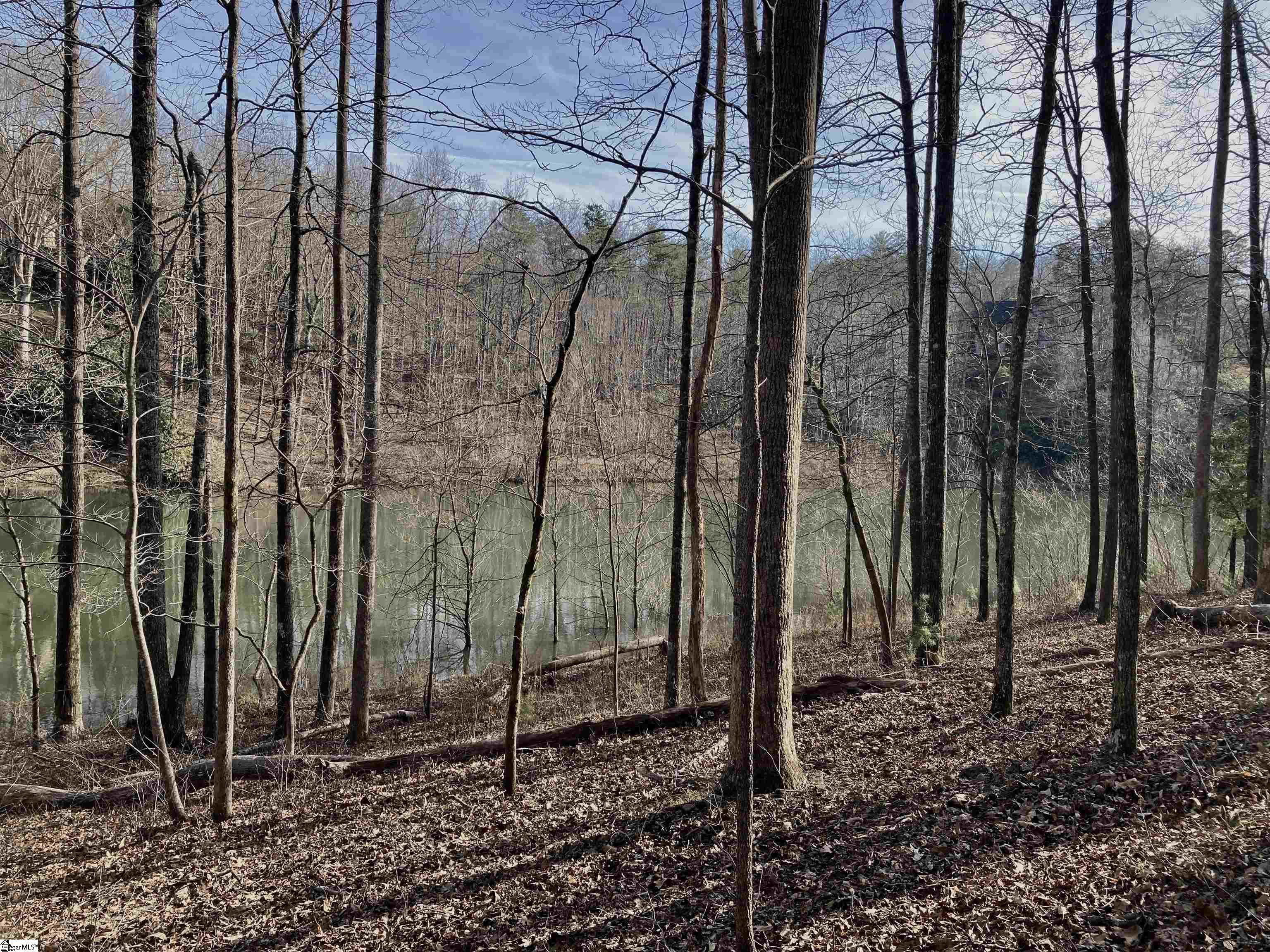 134 Painter Creek Road Travelers Rest, SC 29690 - Photo 3 of 8