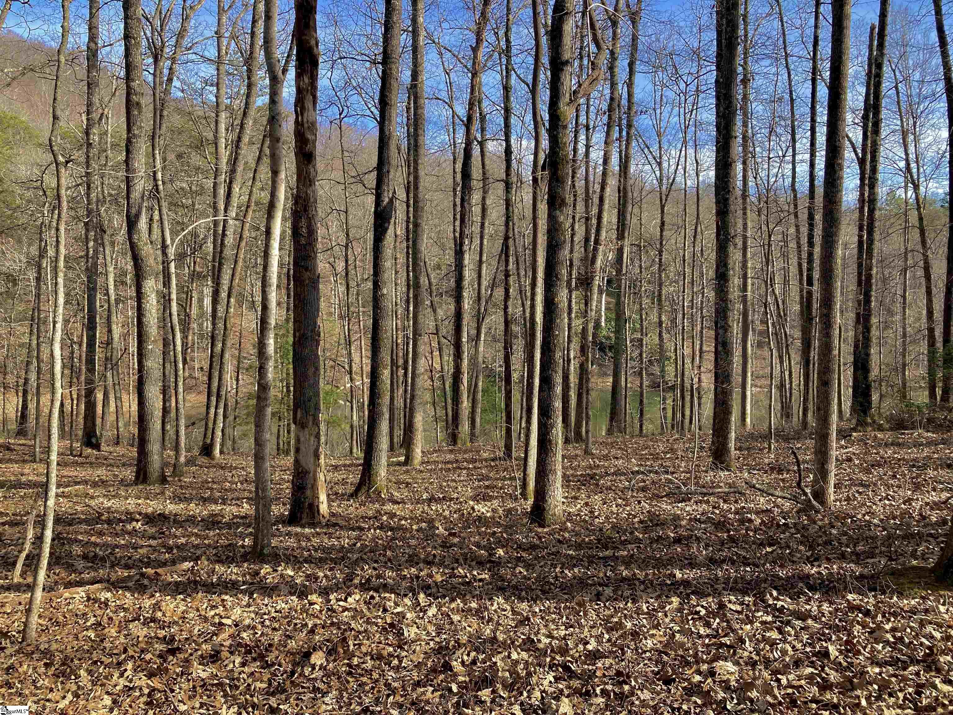 134 Painter Creek Road Travelers Rest, SC 29690 - Photo 4 of 8