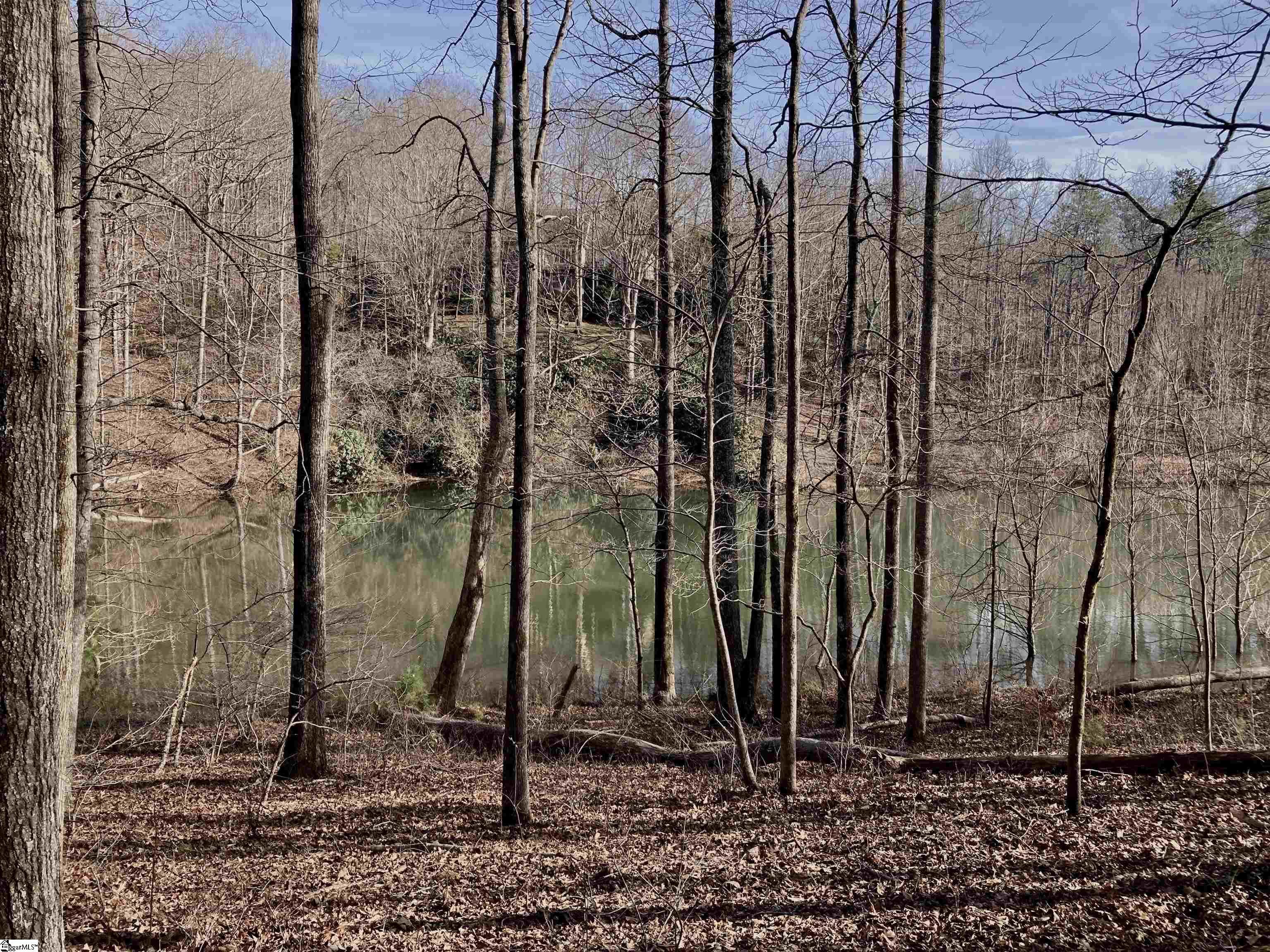 134 Painter Creek Road Travelers Rest, SC 29690 - Photo 5 of 8