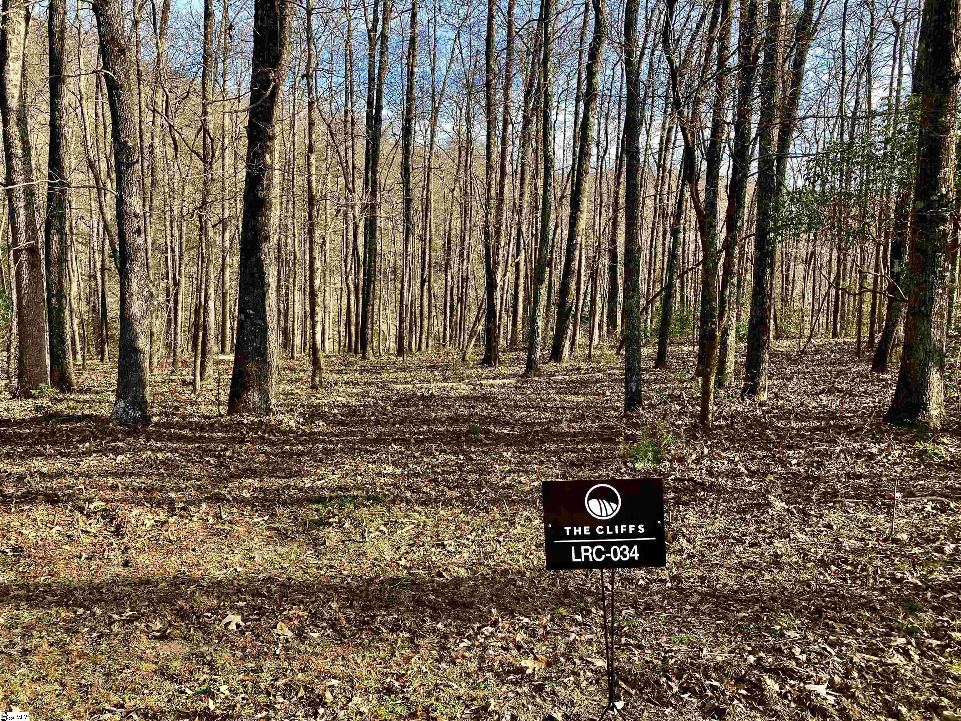 134 Painter Creek Road Travelers Rest, SC 29690 - Photo 6 of 8