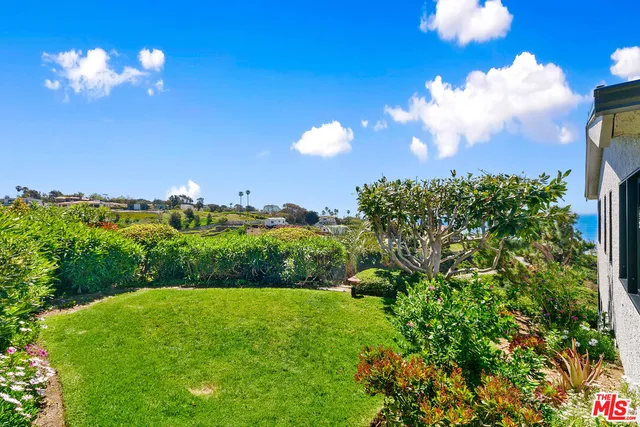 a view of a flower in a garden