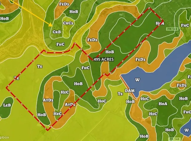 a backyard of a house with lots of green space and two chairs