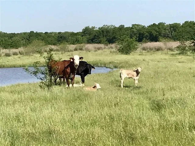 $15,999,000 | Tbd South Tbd S Fm148 Street, Crandall, TX 75114