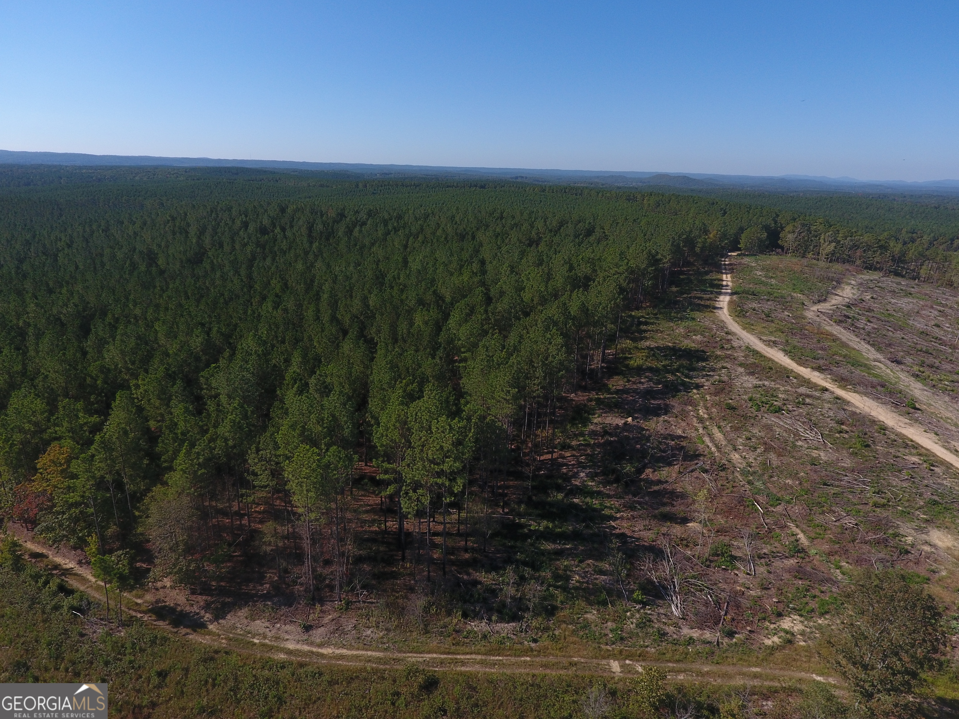 0 Coaling Road, Unit 9221C Cedartown, GA 30125 - Photo 11 of 29