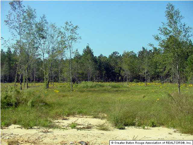 28235 Wagner Road Albany, LA 70711 - Photo 8 of 9