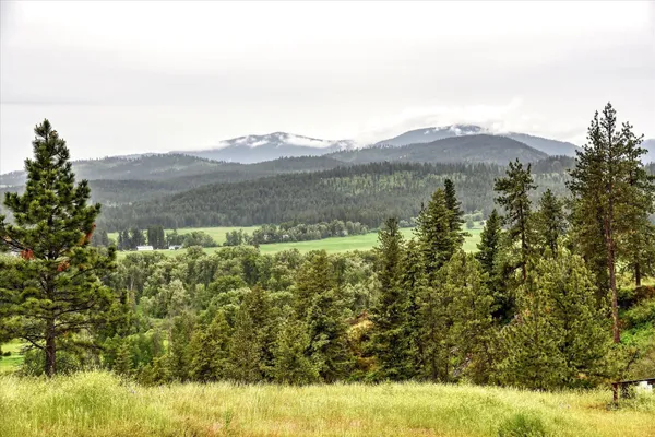 $875,000 | 419 Highway 395, Colville, WA 99114