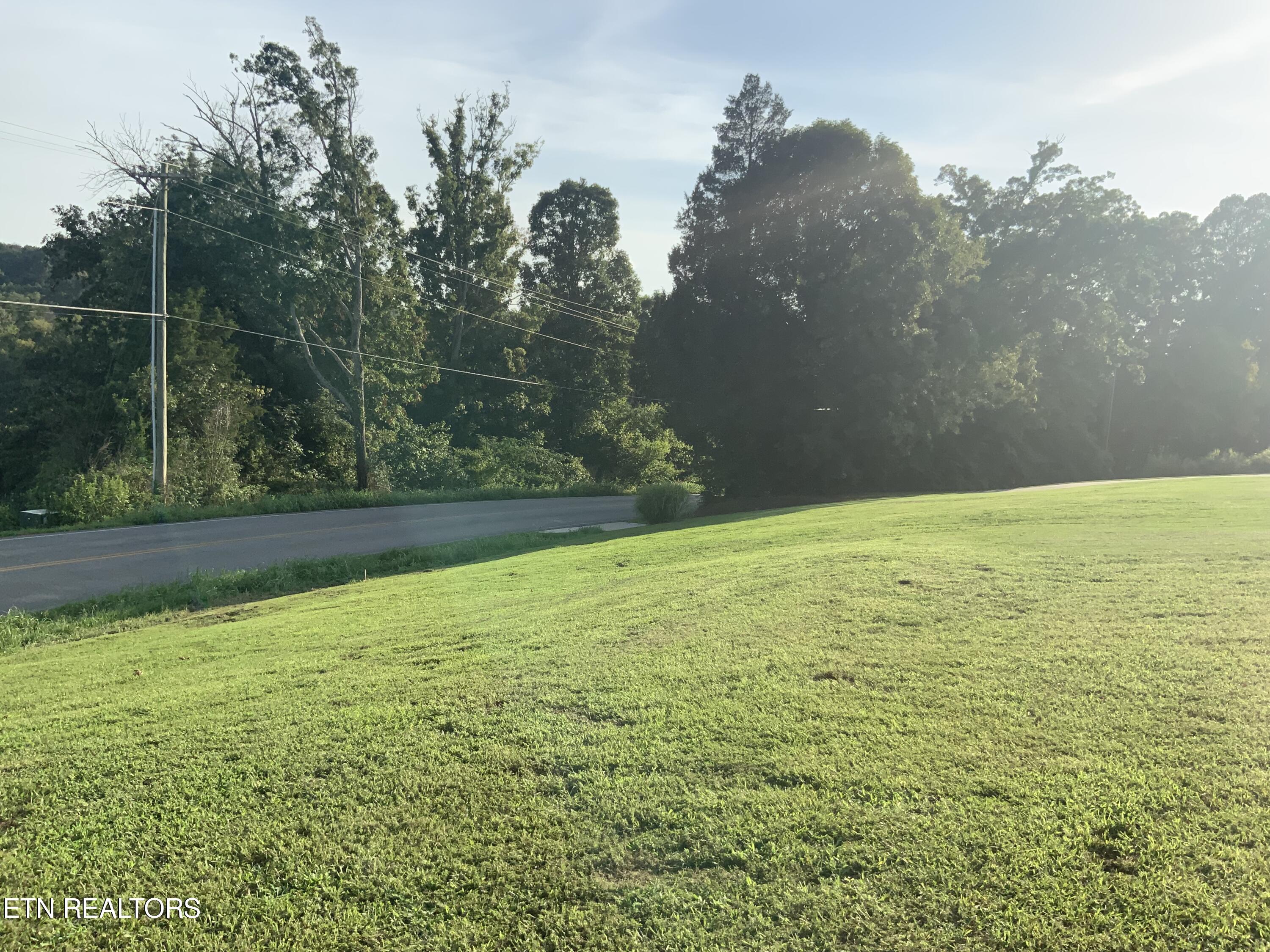 7960 Morganton Road Greenback, TN 37742 - Photo 11 of 17 IMG_0100