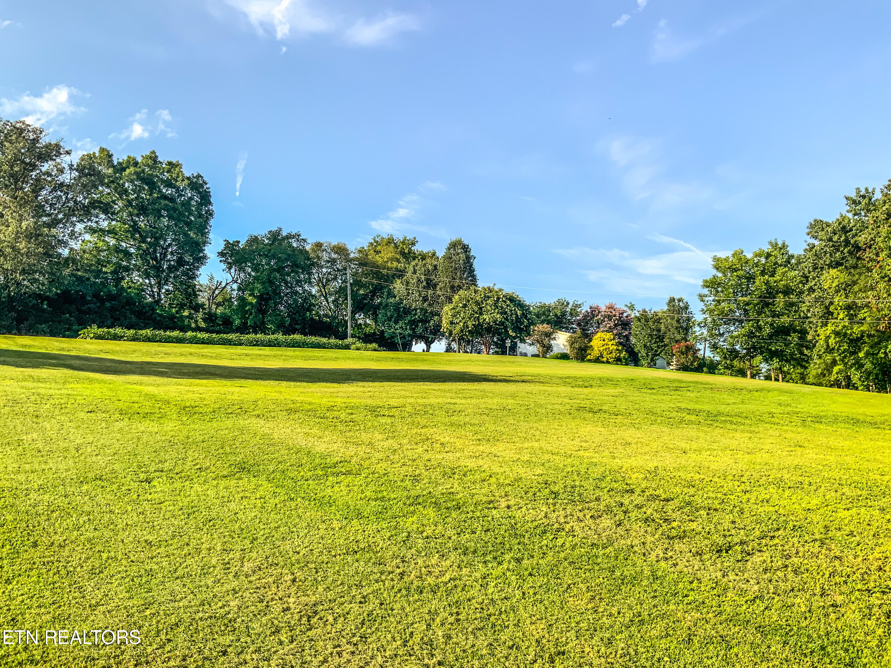 7960 Morganton Road Greenback, TN 37742 - Photo 13 of 17 IMG_0102