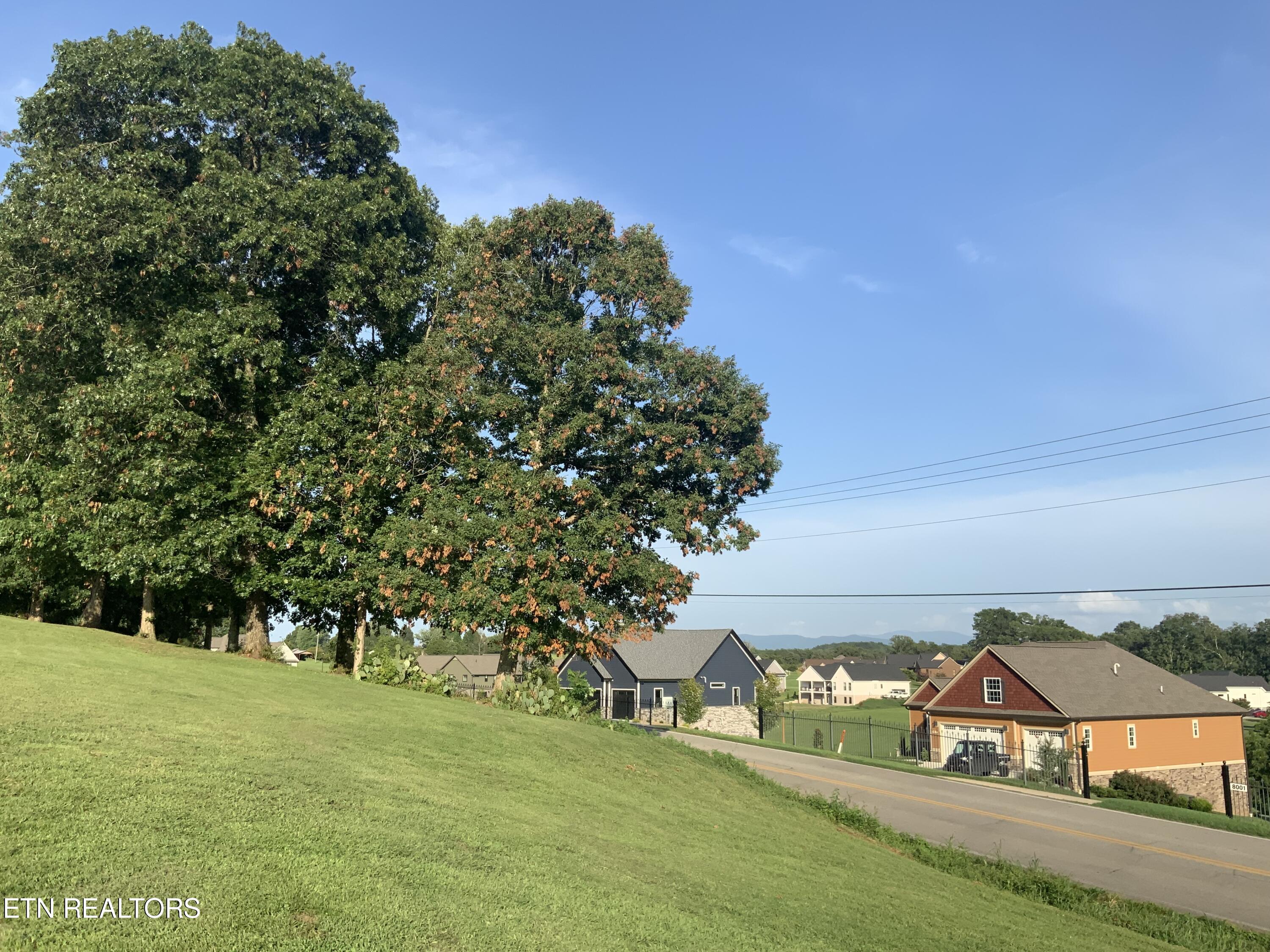 7960 Morganton Road Greenback, TN 37742 - Photo 14 of 17 IMG_0106