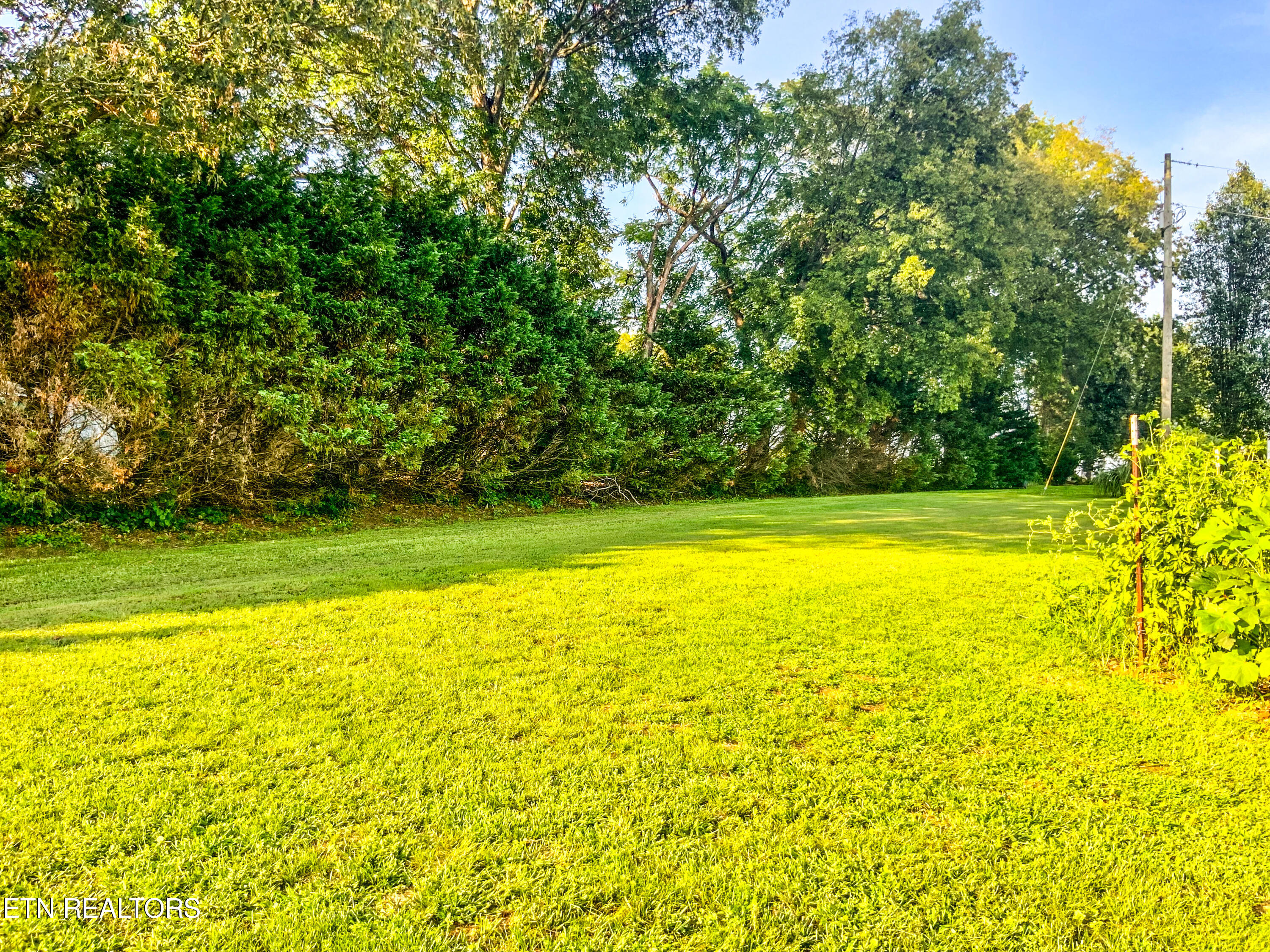 7960 Morganton Road Greenback, TN 37742 - Photo 3 of 17 IMG_0085