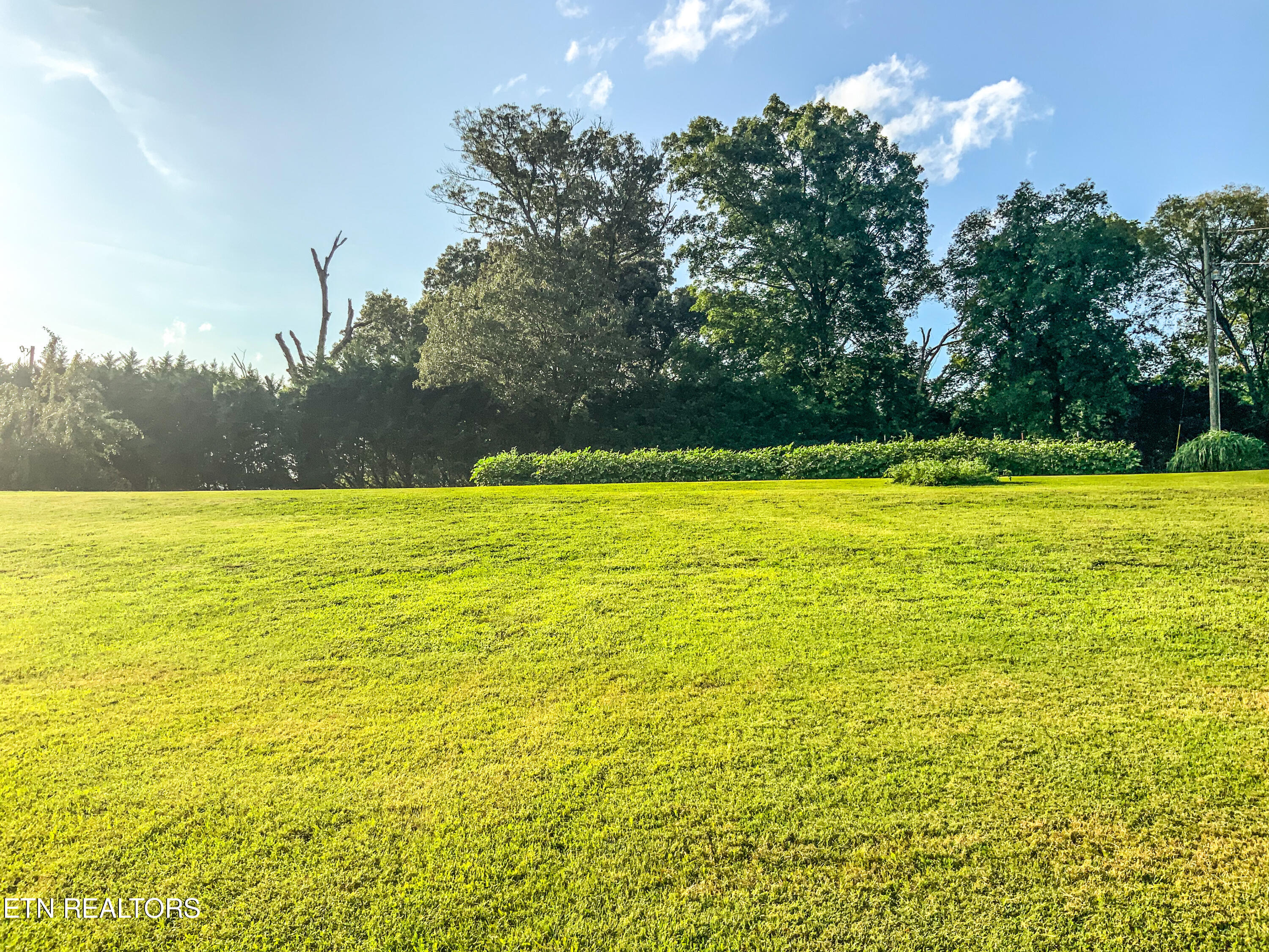 7960 Morganton Road Greenback, TN 37742 - Photo 7 of 17 IMG_0095