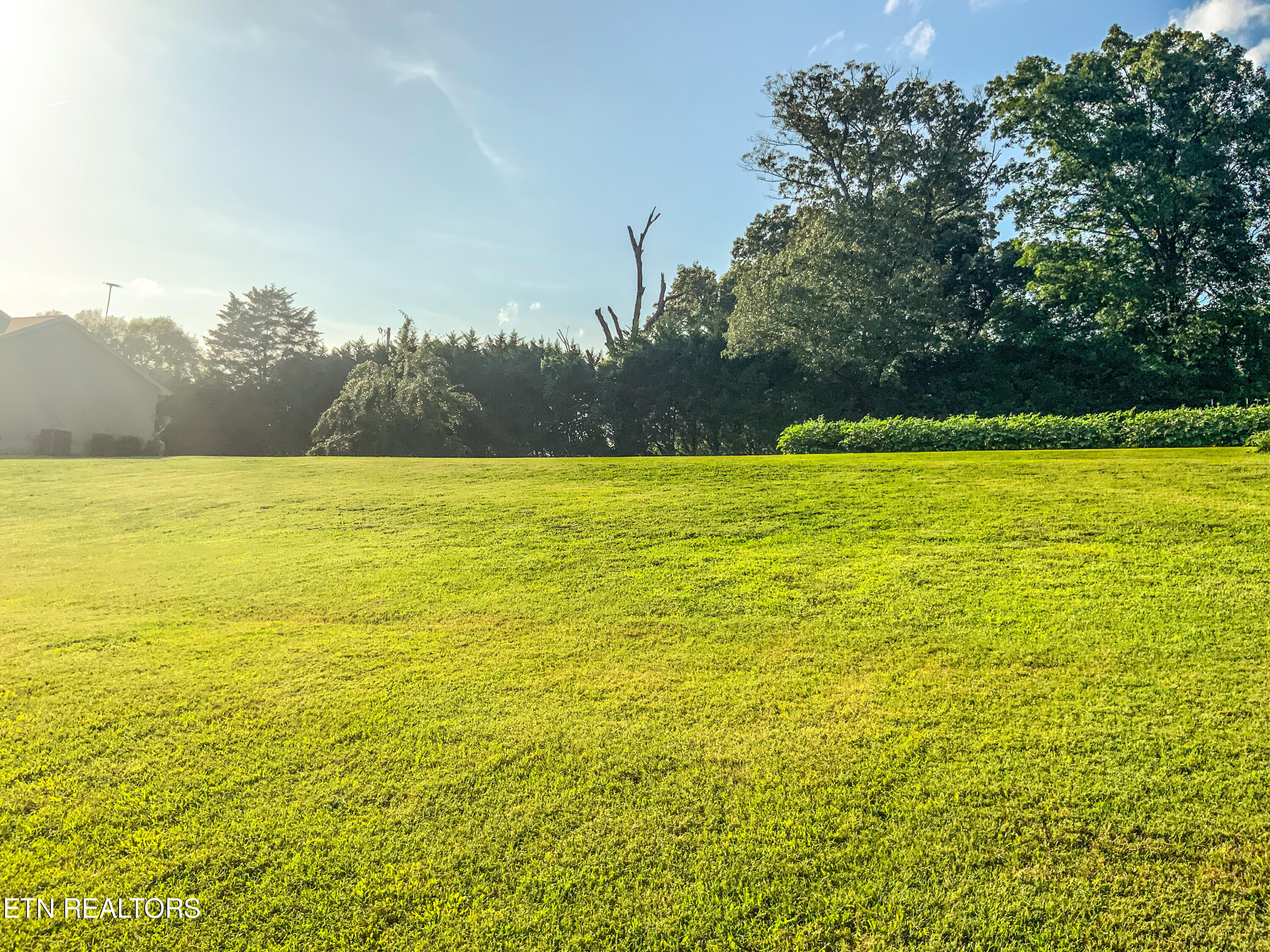 7960 Morganton Road Greenback, TN 37742 - Photo 8 of 17 IMG_0096