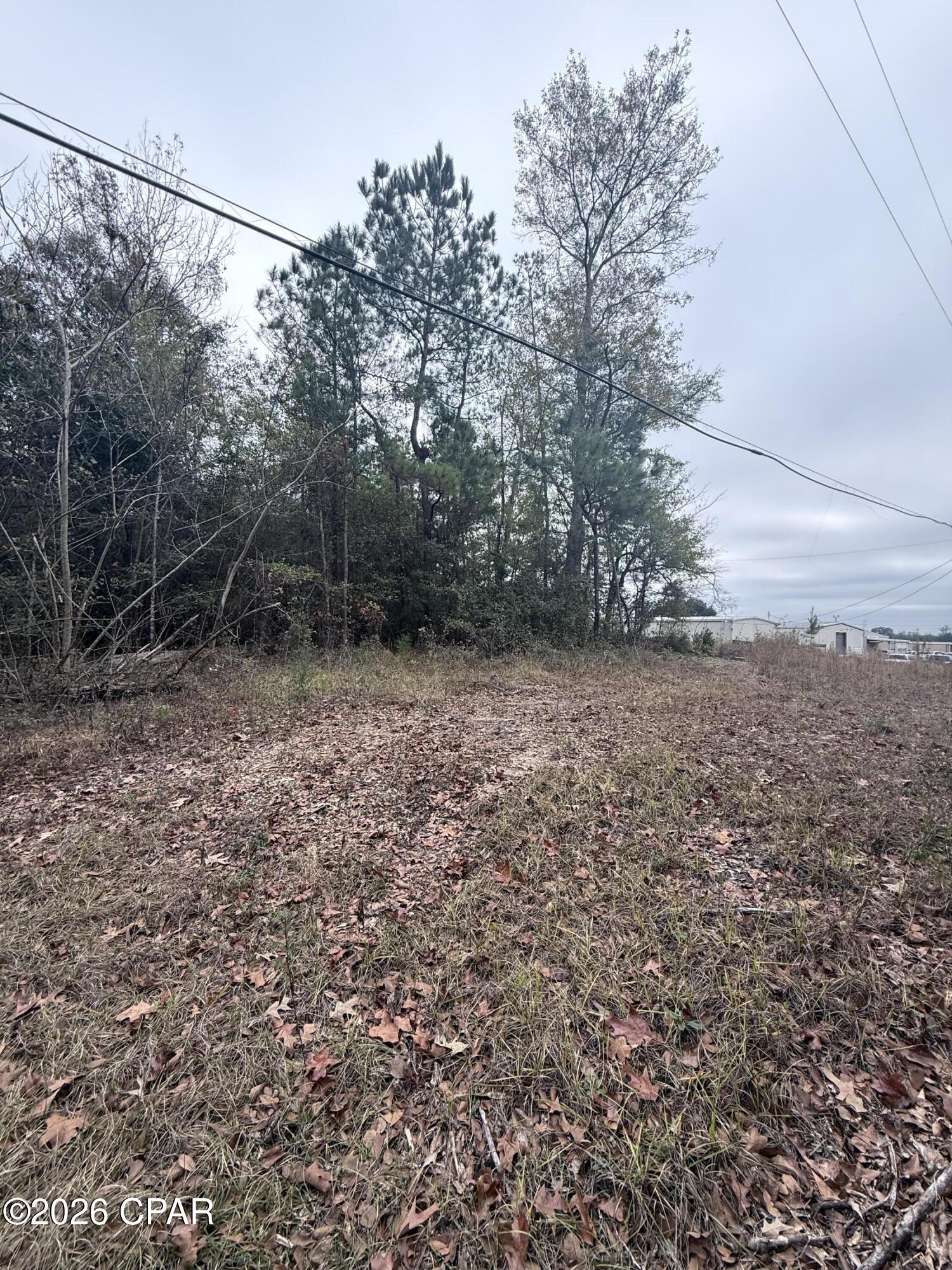 0 Dairy Road Sneads, FL 32460 - Photo 2 of 3