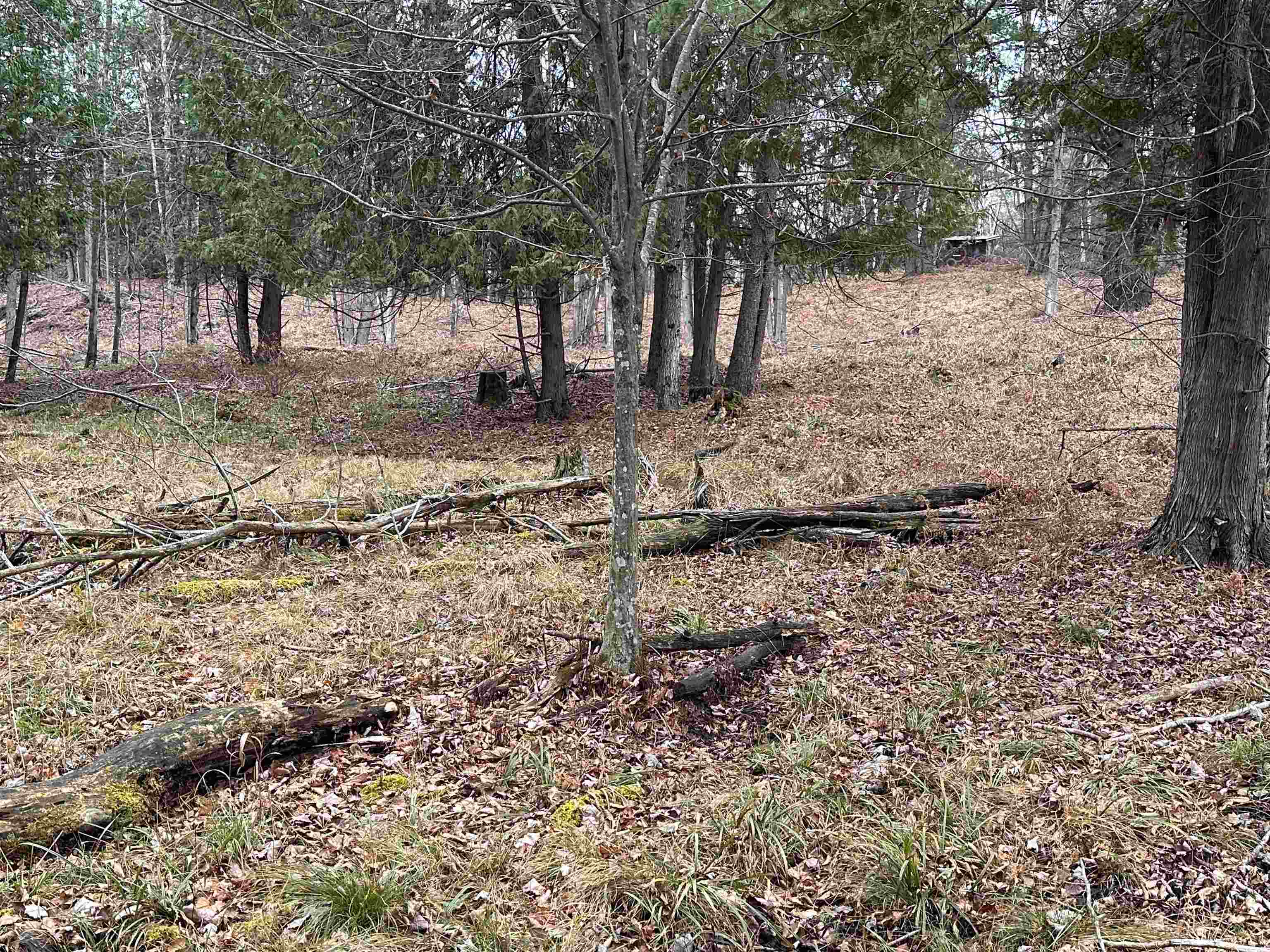 22 22 Mile Road Marion, MI 49665 - Photo 4 of 22