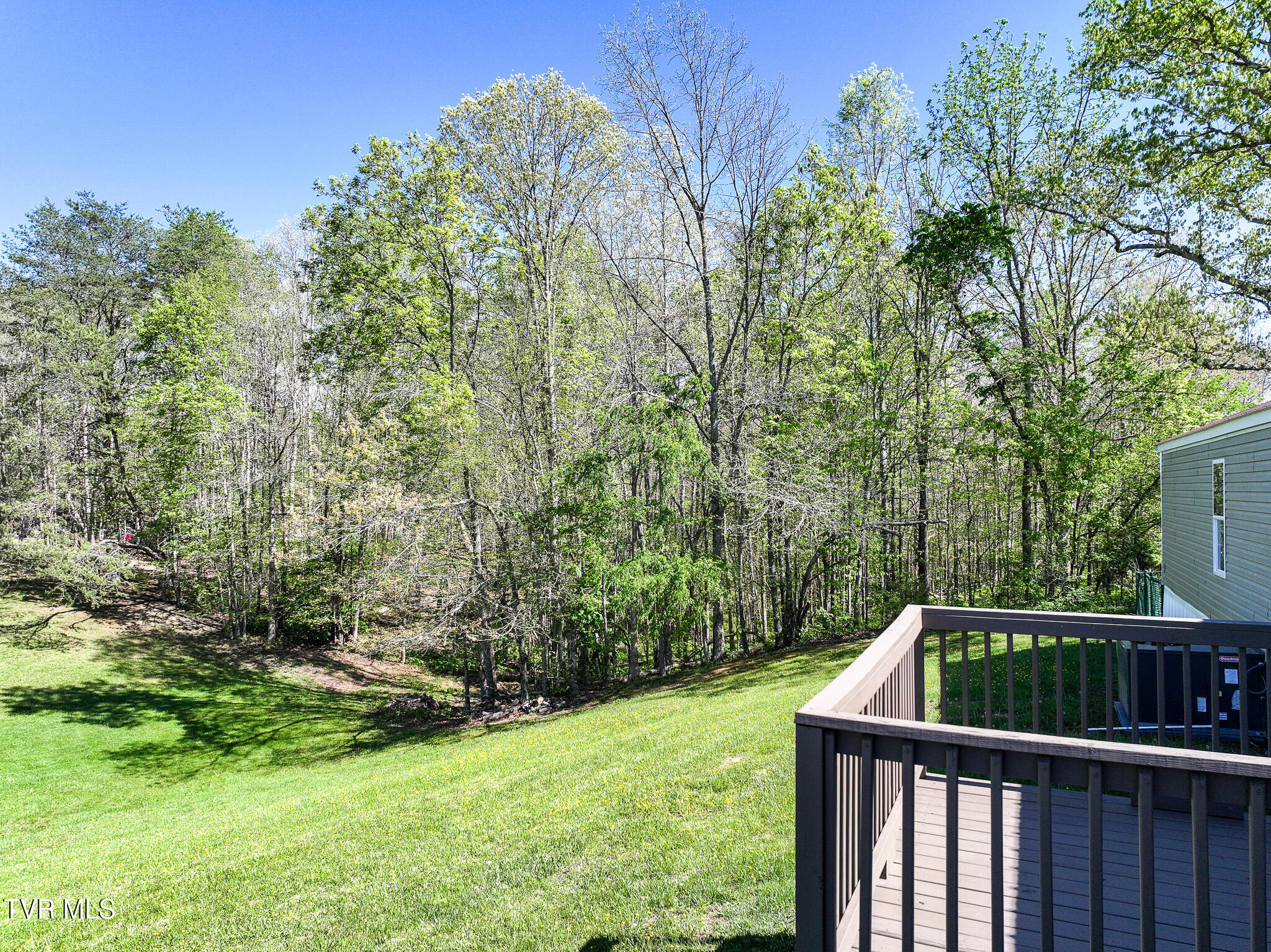 1540 Luther Memorial Road Parrottsville, TN 37843 - Photo 43 of 57 38