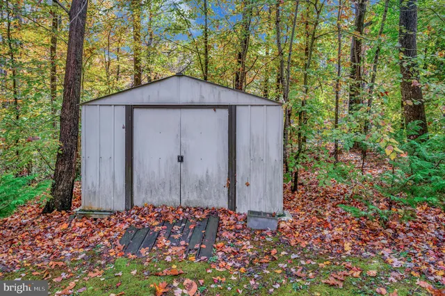 a view of a garden with plants and trees