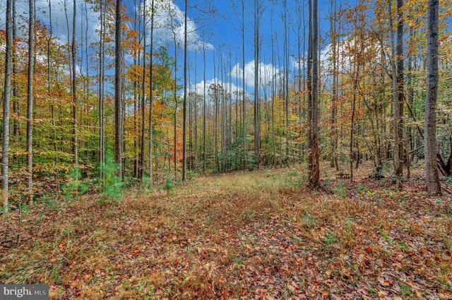 a house view with a backyard and outdoor seating