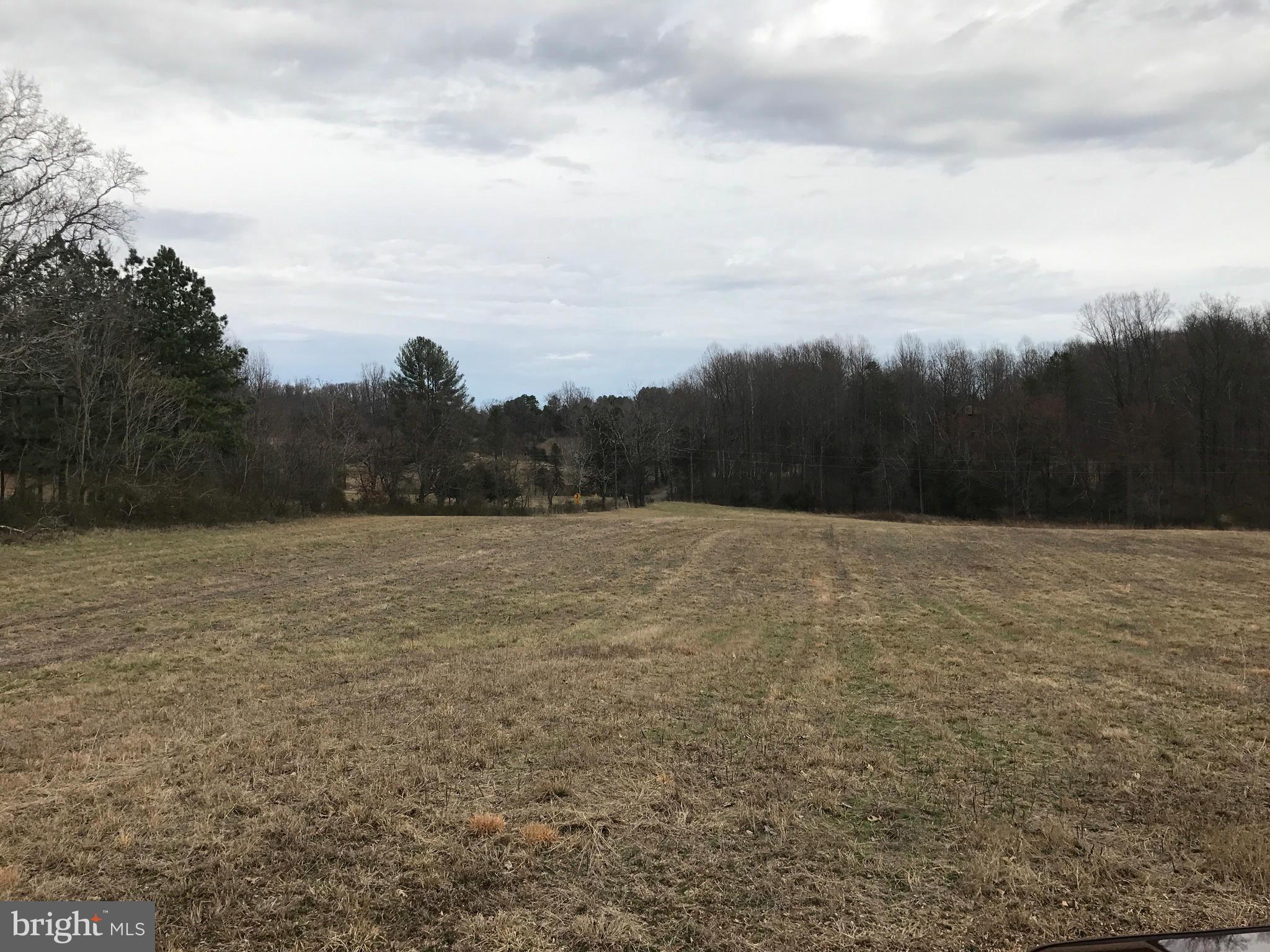 Novum Road Reva, VA 22735 - Photo 12 of 12