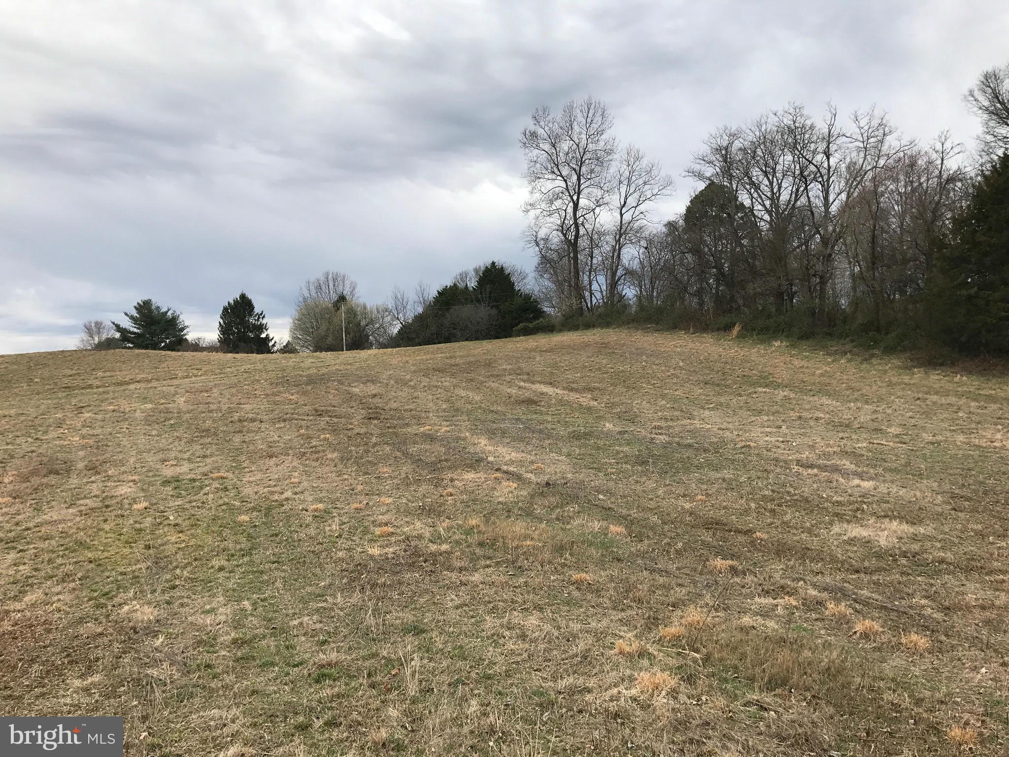 Novum Road Reva, VA 22735 - Photo 4 of 12 a view of outdoor space and yard