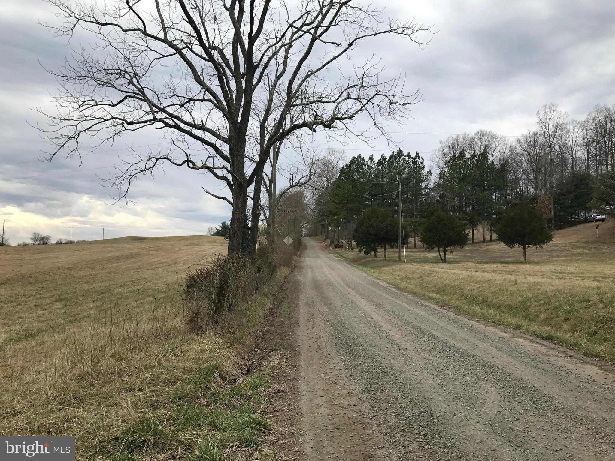 Novum Road Reva, VA 22735 - Photo 5 of 12 a view of mountain with a yard