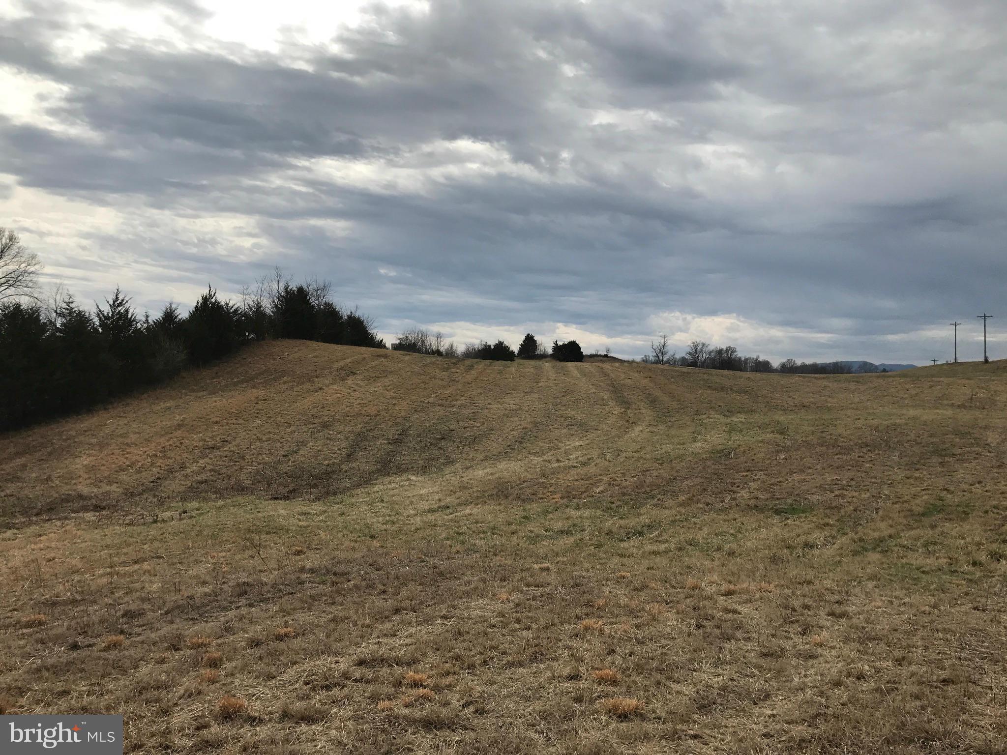 Novum Road Reva, VA 22735 - Photo 10 of 12