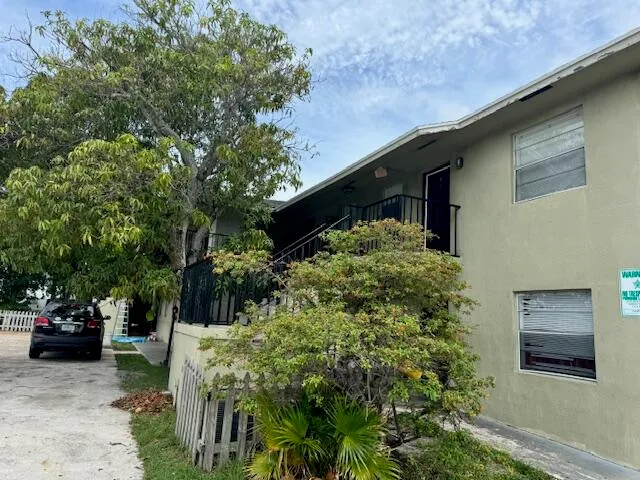 a couple of flower plants in front of building