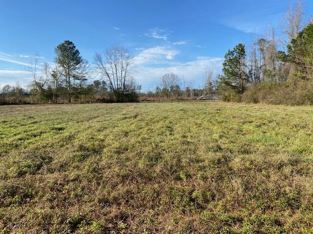 1137 St Mark Bowman Road St. George, SC 29477 - Photo 3 of 6 IMG_1605