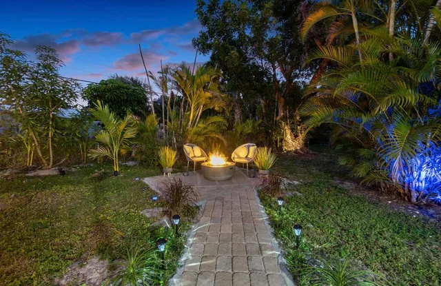 a view of a yard with plants