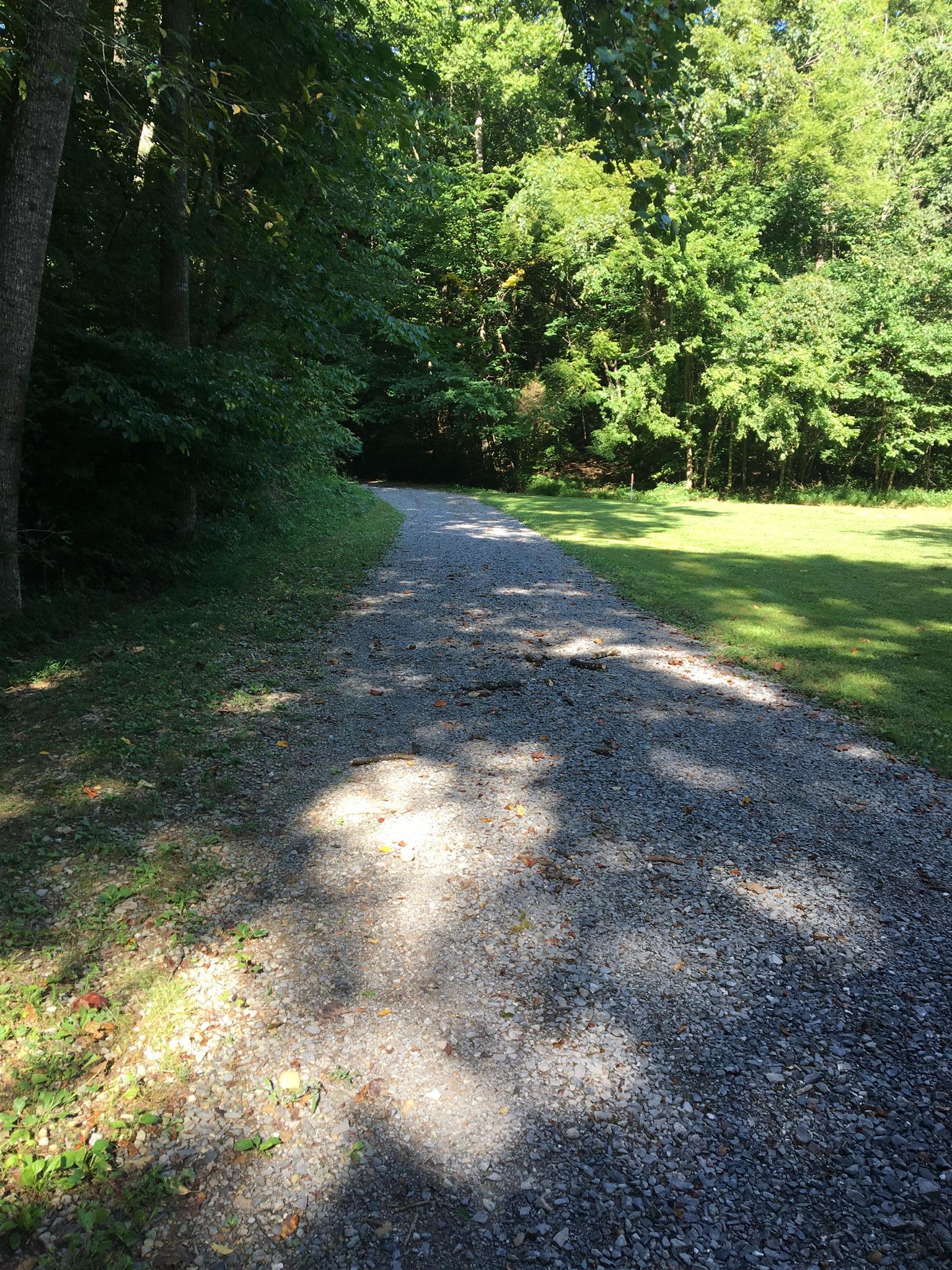 0 Garrison Branch Road Cottontown, TN 37048 - Photo 2 of 7 a view of a yard with plants and trees