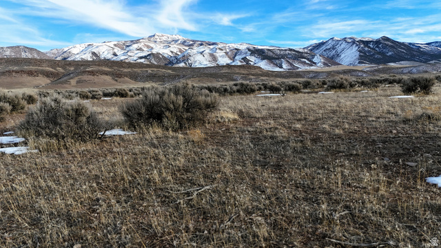 123 Tbd West County Road Monroe, UT 84754 - Photo 25 of 51 View of mountain background