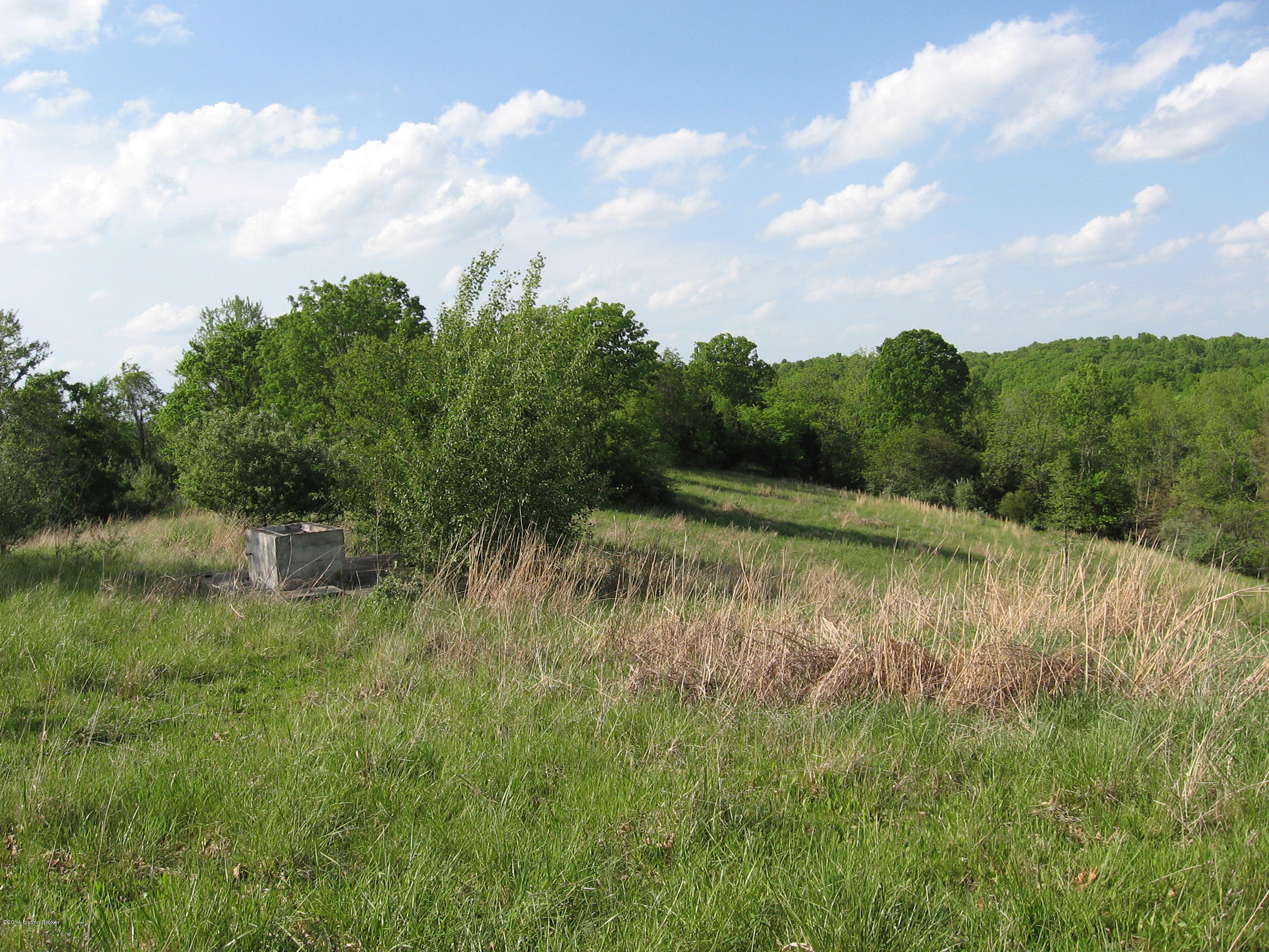 1120 Pleasant Grove Ridge Road Mount Eden, KY 40046 - Photo 2 of 6 IMG_0094