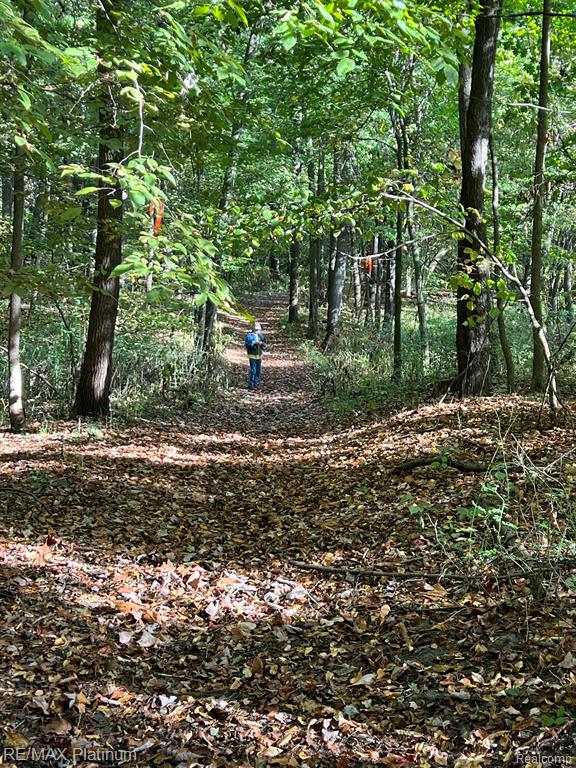 0 Chapman Road Stockbridge, MI 49285 - Photo 13 of 20