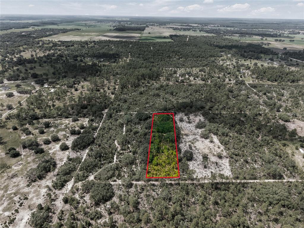 0 Northeast 56th Street Bronson, FL 32621 - Photo 19 of 20
