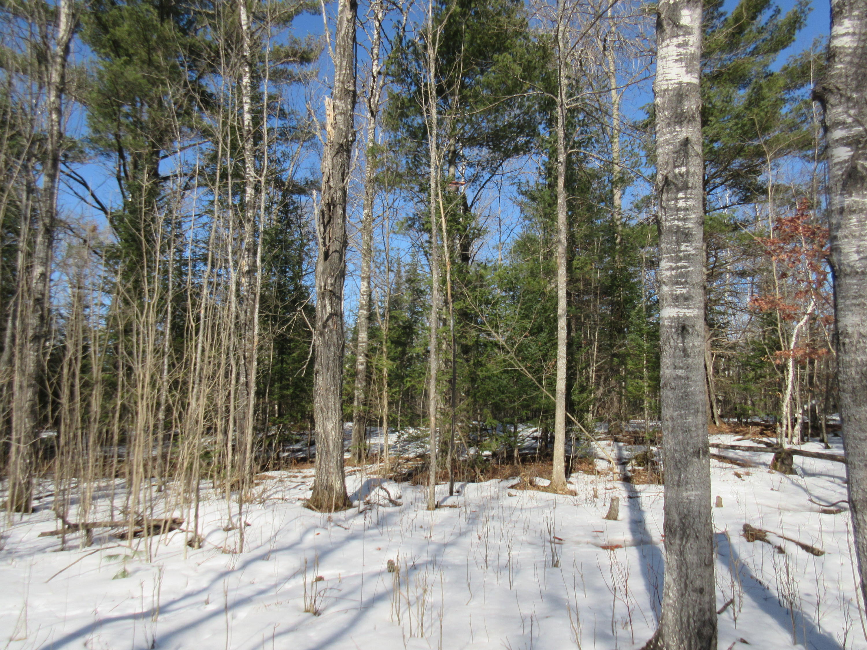 Beebe School Road Afton, MI 49705 - Photo 23 of 27 Gallery Image 23