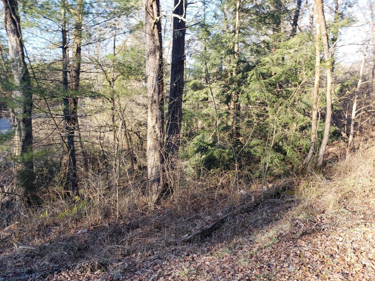 Dallas Smith Road Crossville, TN 38555 - Photo 1 of 2 Dallas Smith 2