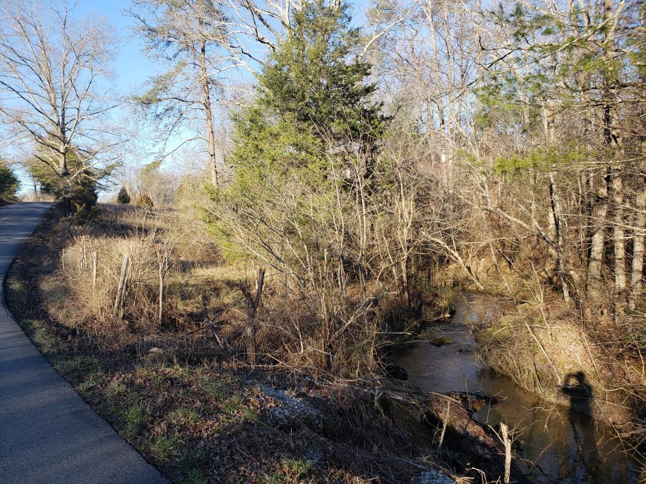 Dallas Smith Road Crossville, TN 38555 - Photo 2 of 2 Dallas Smith 1