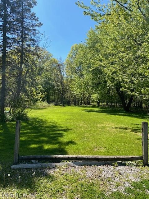 1600 South Green Road Cleveland, OH 44121 - Photo 26 of 29 Very large 1/2 acre lawn with privacy