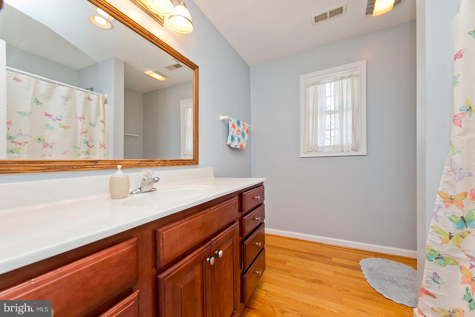 12 South Pleasant Valley Road Winchester, VA 22601 - Photo 27 of 32 Full bath