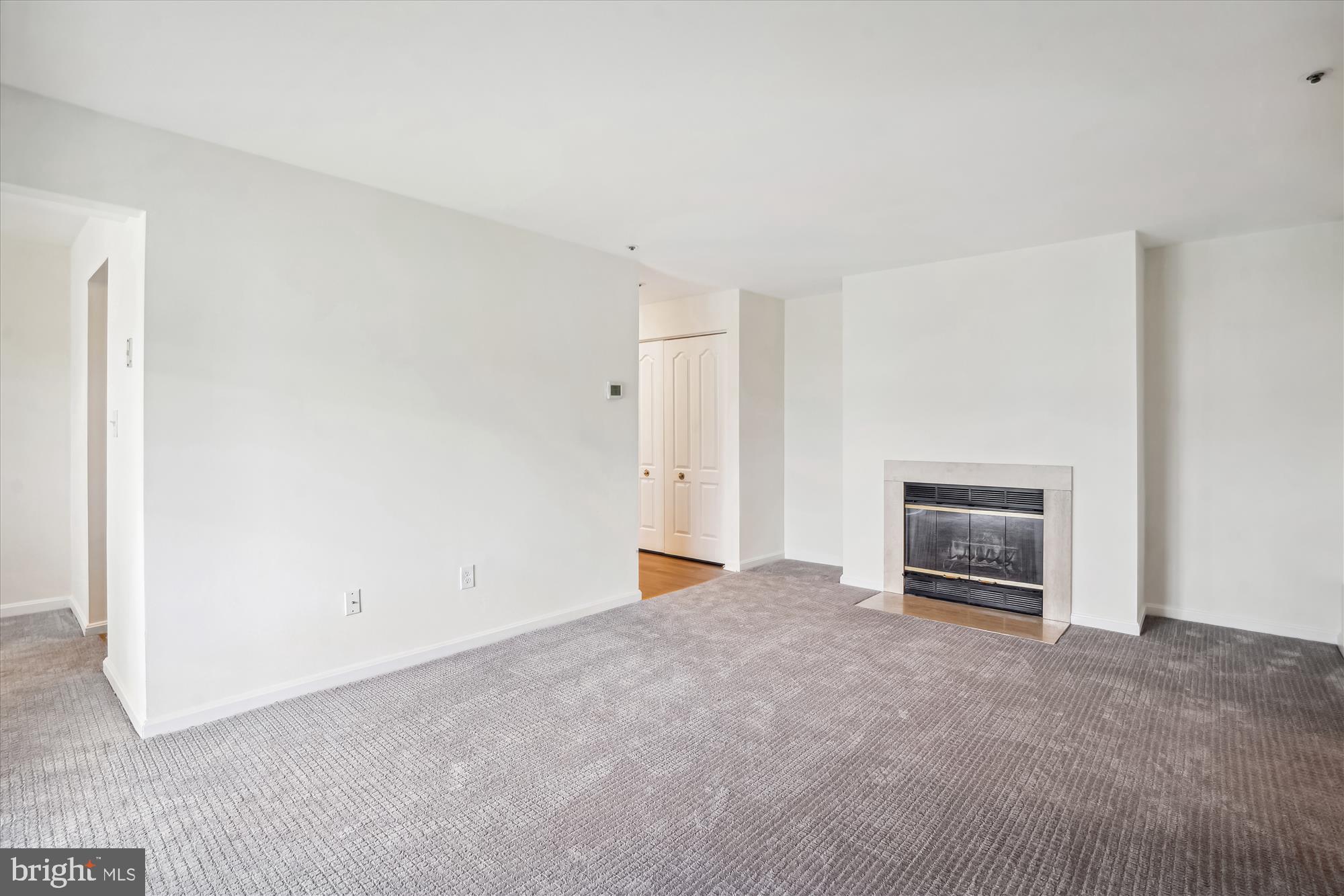 8555 Falls Run Road, Unit F Ellicott City, MD 21043 - Photo 3 of 36 Living Room / Wood Burning Fireplc