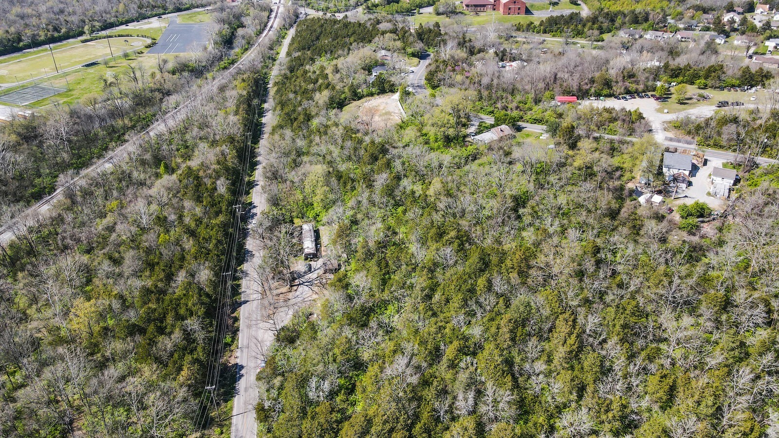 5052 Mt View Road Antioch, TN 37013 - Photo 38 of 39 a view of a forest with a tree