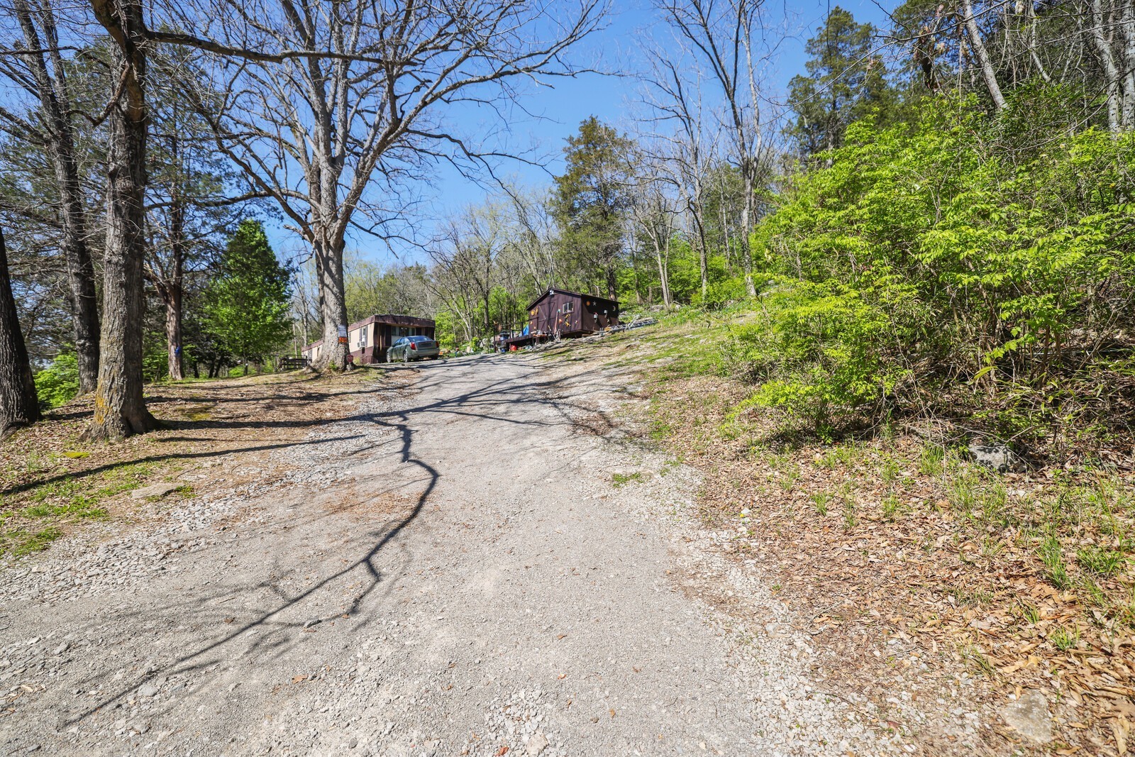 5052 Mt View Road Antioch, TN 37013 - Photo 7 of 39 a view of a yard with a trees