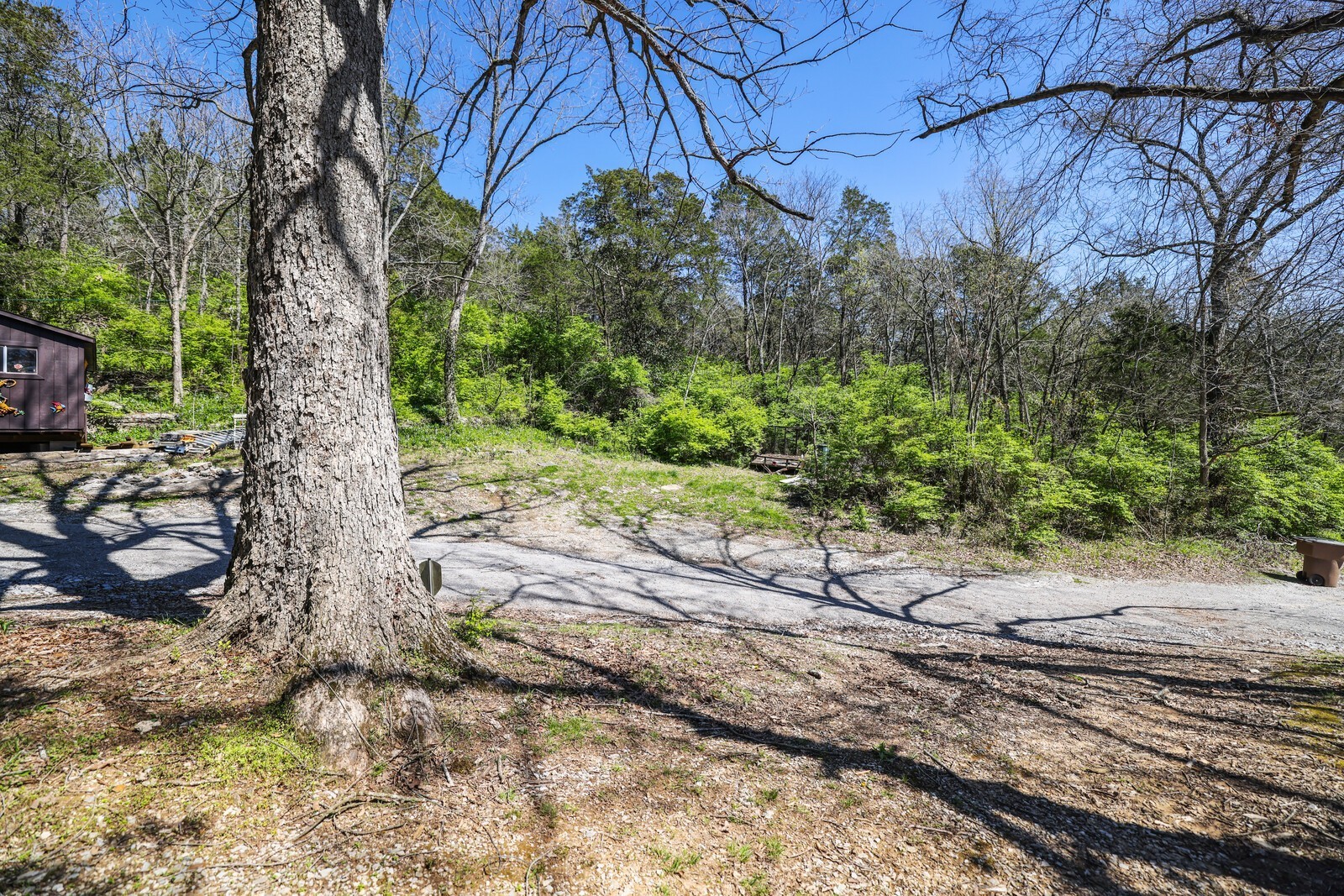 5052 Mt View Road Antioch, TN 37013 - Photo 8 of 39 a view of a yard with plants and trees