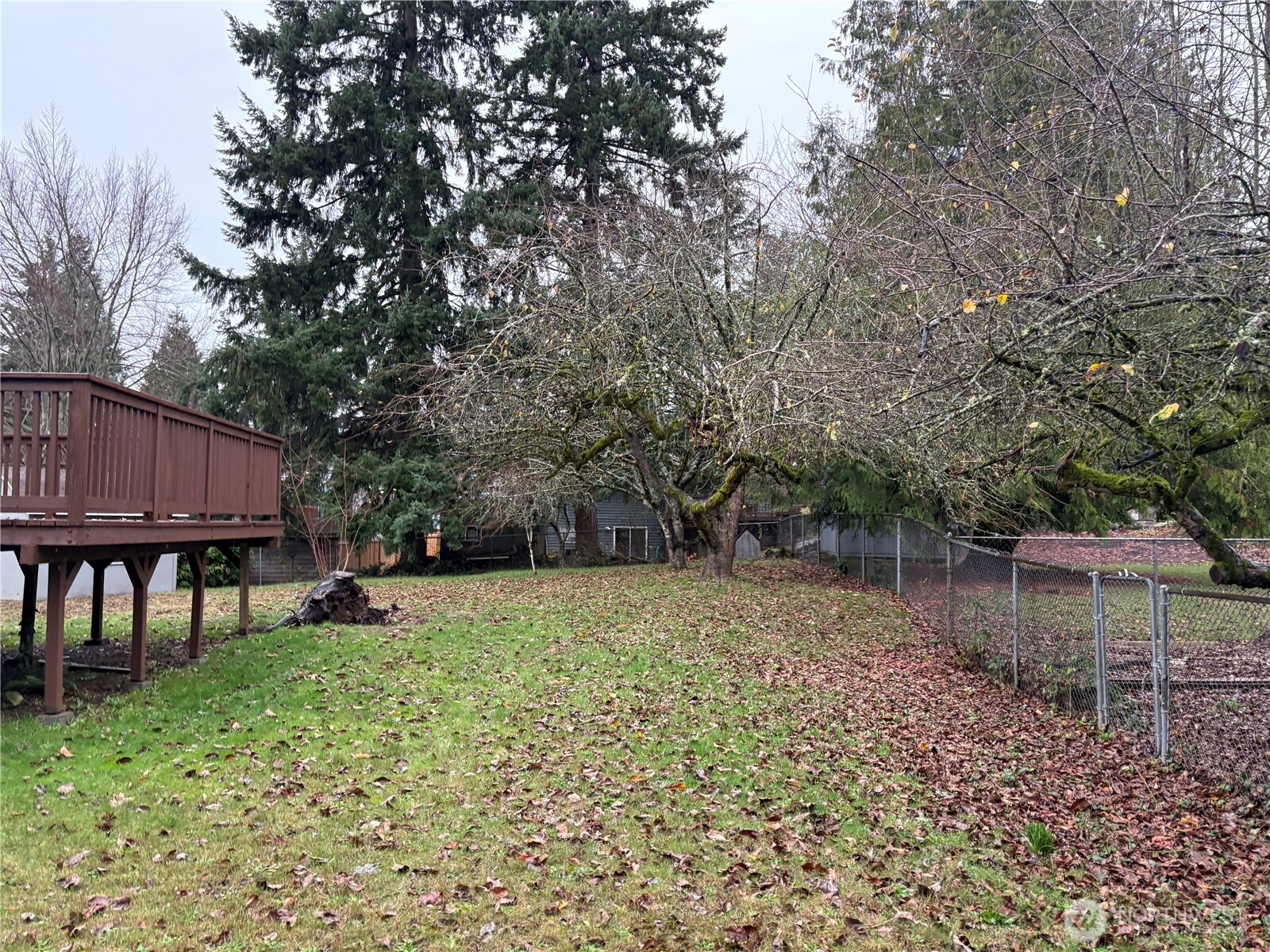 16312 127th Place Southeast Renton, WA 98058 - Photo 3 of 25 a backyard of a house with lots of green space